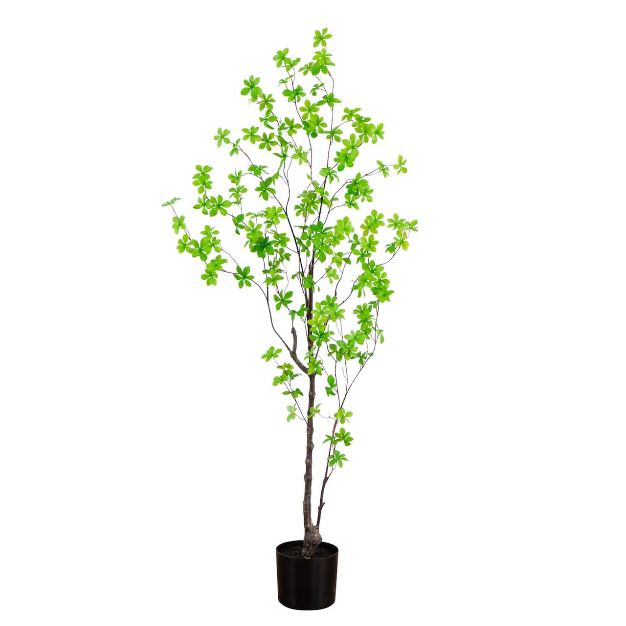 5ft. Potted Artificial Minimalist Enkianthus Tree